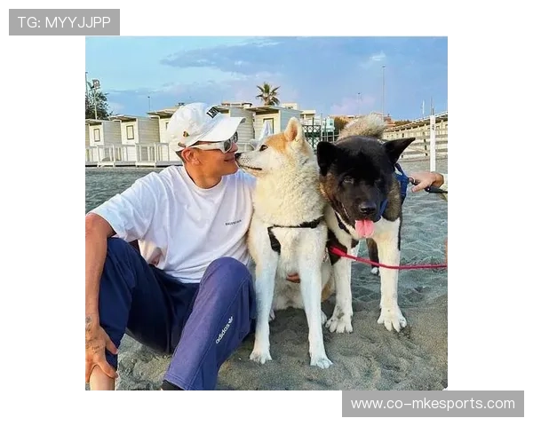 迪巴拉足球球星头像全新诠释展现独特魅力与技艺风采